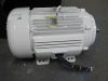Remanufactured electric motor
